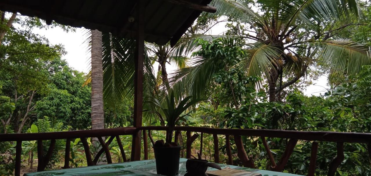 Agroturismo Sigiri Panaromic Tree House