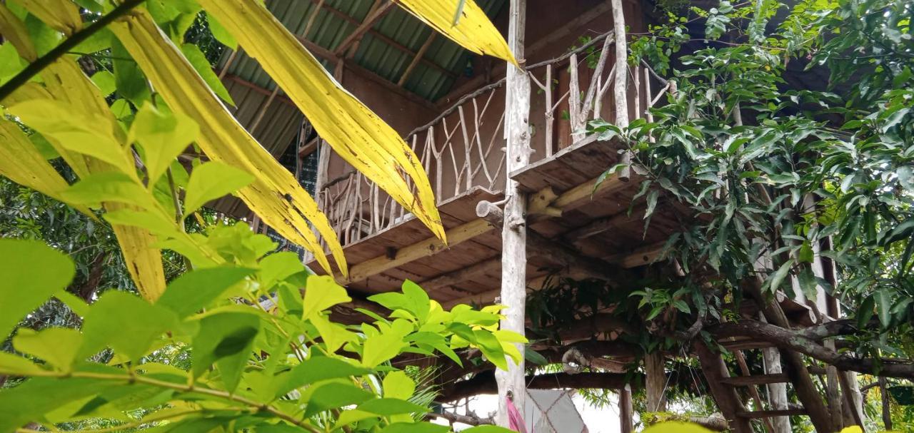 Sigiri Panaromic Tree House Agroturismo Sigiriya