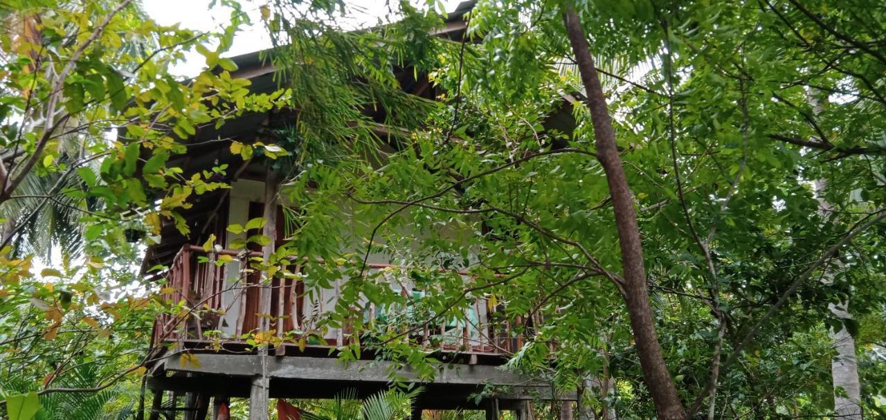 Agroturismo Sigiri Panaromic Tree House *